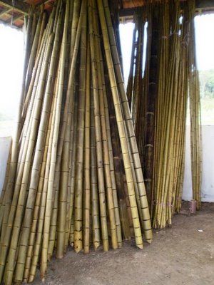 Varas Bambu Mossô